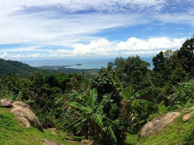 X Quad Samui 41