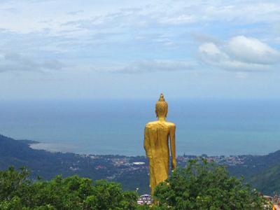 X Quad Samui 58