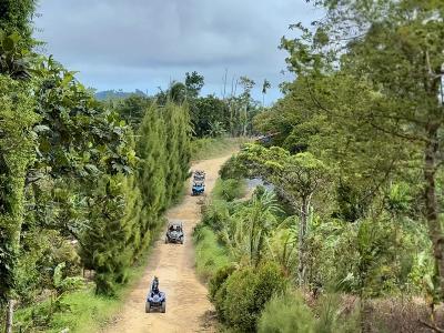 X Quad Samui 73